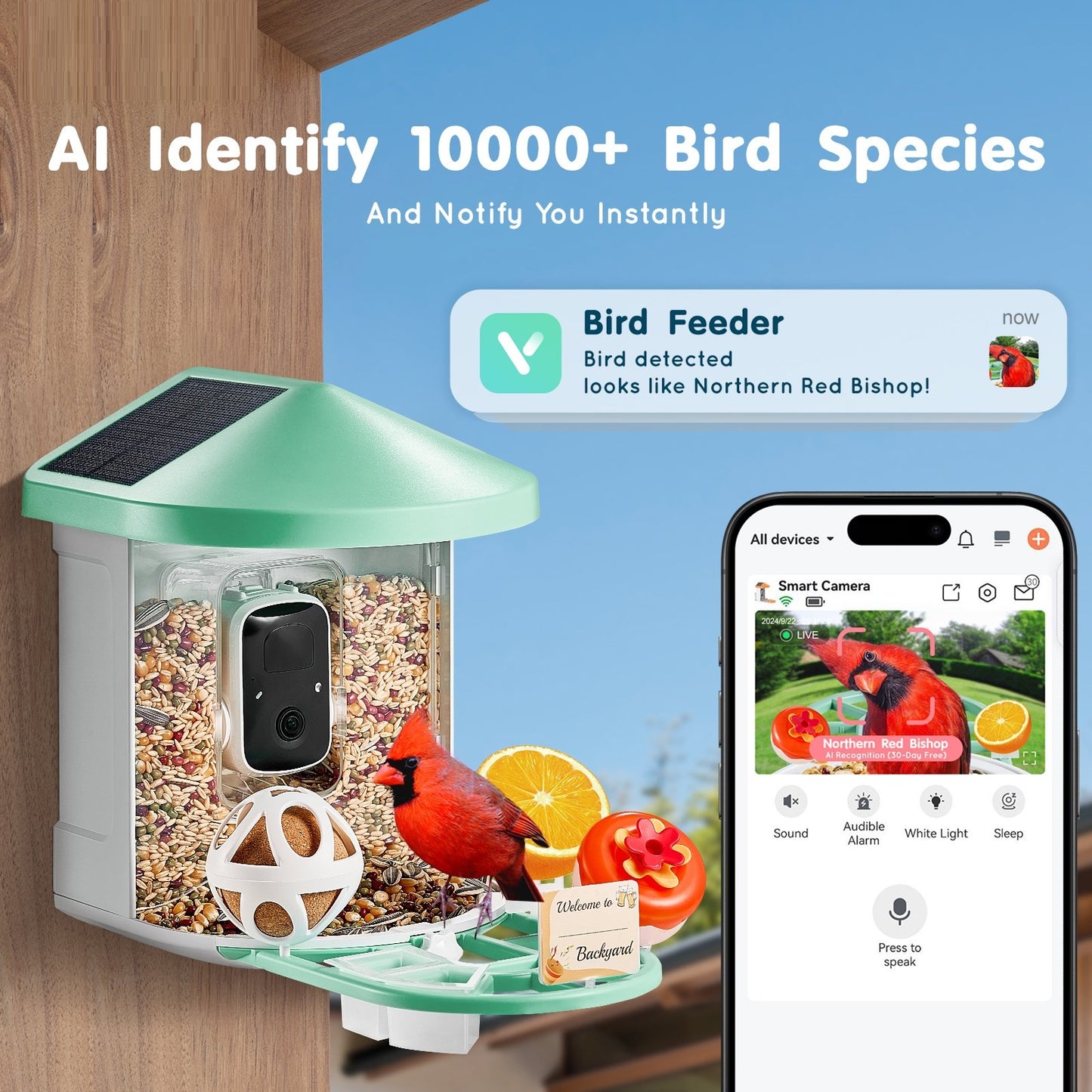 Hrănitoare Inteligentă pentru Păsări cu Cameră 2K HD, WiFi, AI Recunoaștere Specii, Panou Solar, Vedere Nocturnă și Aplicație Mobilă