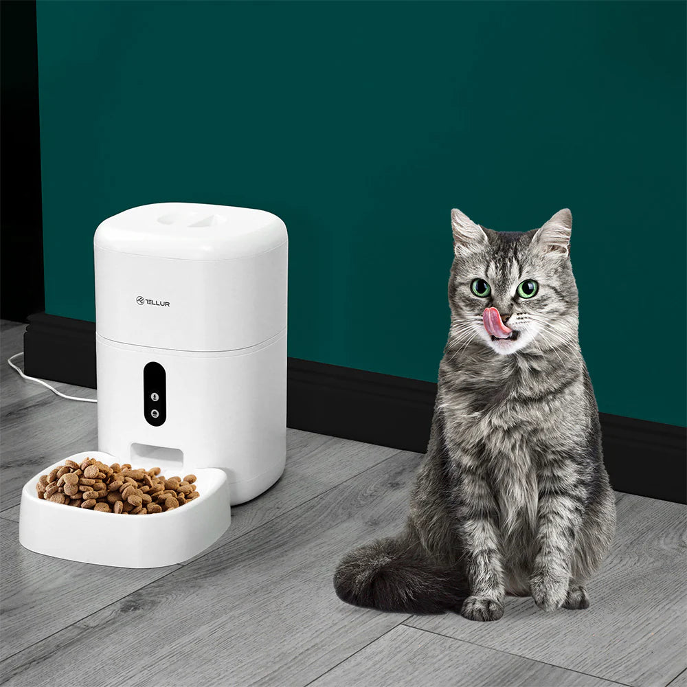 Hrănitor inteligent pentru animale de companie cu camera video , aplicatie telefon, WiFi, cameră UltraHD, 4L, alb, pisici, caini